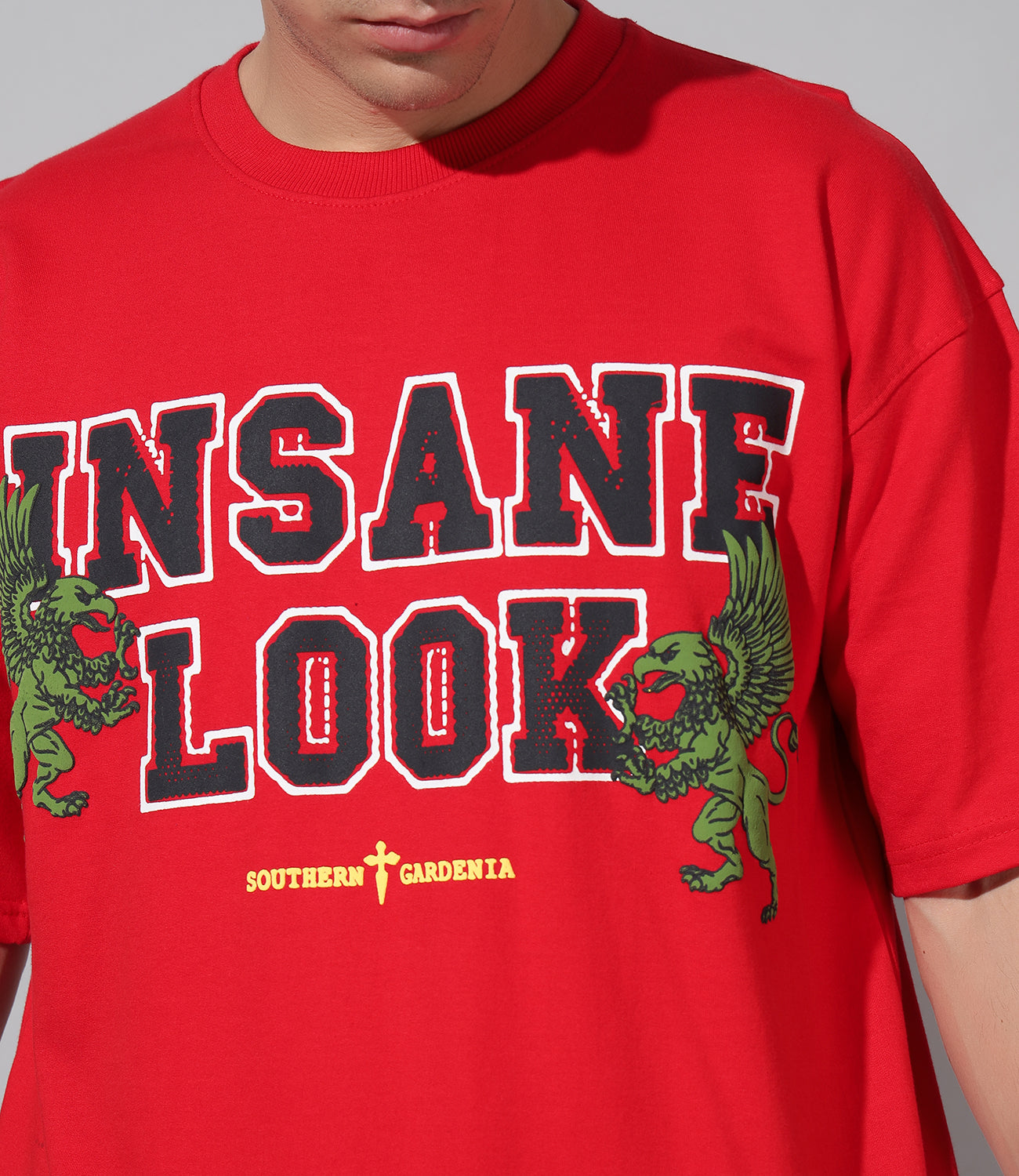 Burn Em Into Ashes | Oversized T-Shirts